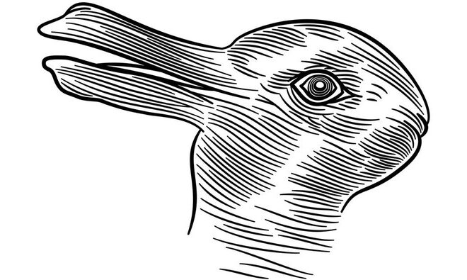 Jangan Salah! Begini Cara Benar Mengartikan Ilusi Bebek-Kelinci