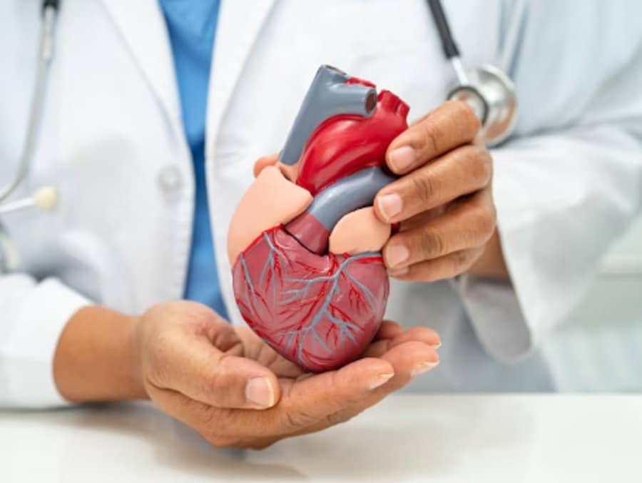 Mengenal Penyakit Henti Jantung yang Diderita Hulk Hogan: Fakta Penting – Podme.id