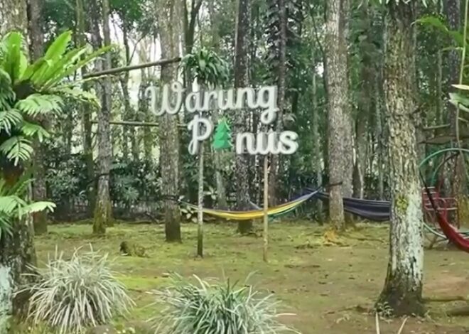 Suasana Nyaman dan Udara Sejuk, Warung Pinus Villa dan Glamping Subang Cocok untuk Ngopi dan Nongkrong! | TINTAHIJAU.com