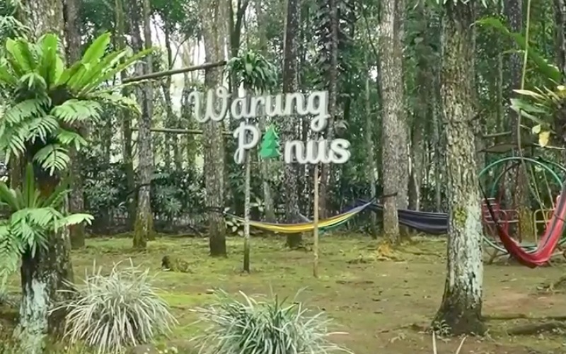 Suasana Nyaman dan Udara Sejuk, Warung Pinus Villa dan Glamping Subang Cocok untuk Ngopi dan Nongkrong! | TINTAHIJAU.com