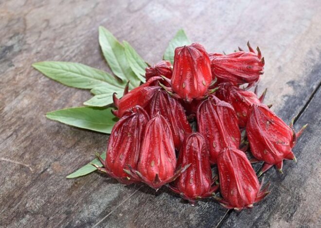 Berikut Manfaat Utama Bunga Rosella untuk Kesehatan