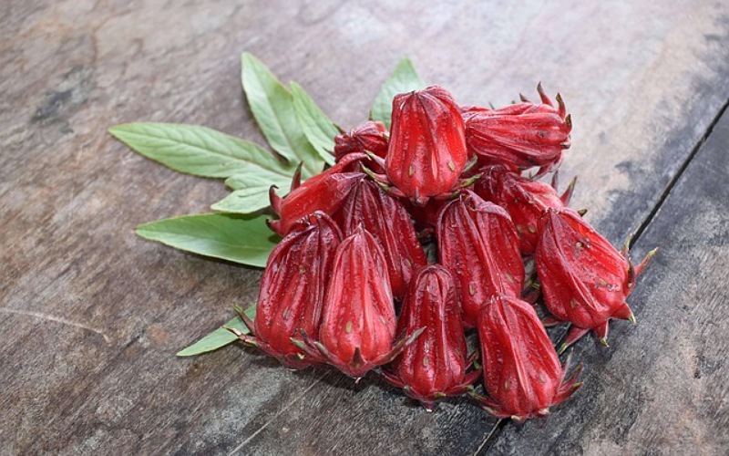 Berikut Manfaat Utama Bunga Rosella untuk Kesehatan